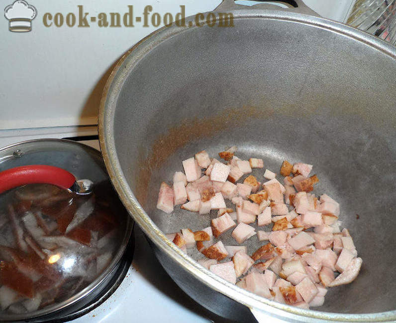 Bigus dengan kubis, daging dan cendawan - bagaimana untuk memasak dengan betul Bigus, langkah demi langkah resipi foto