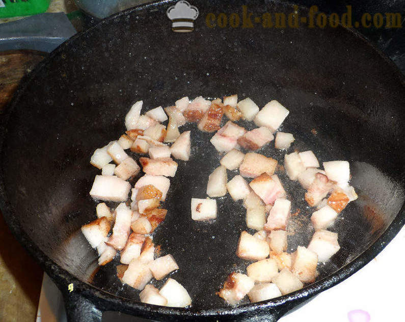 Bigus dengan kubis, daging dan cendawan - bagaimana untuk memasak dengan betul Bigus, langkah demi langkah resipi foto