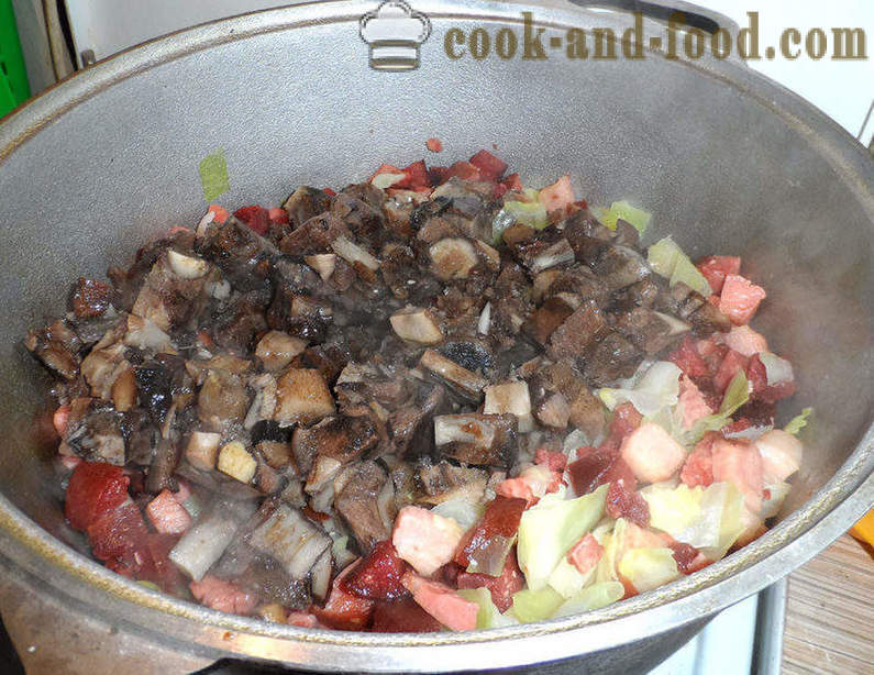 Bigus dengan kubis, daging dan cendawan - bagaimana untuk memasak dengan betul Bigus, langkah demi langkah resipi foto