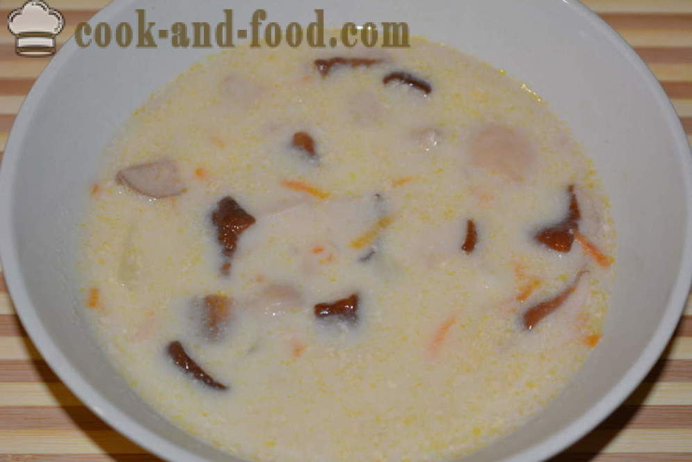 Sup cendawan putih segar dengan keju krim - bagaimana untuk memasak sup cendawan dengan cendawan segar dan keju, dengan langkah dengan gambar langkah resipi