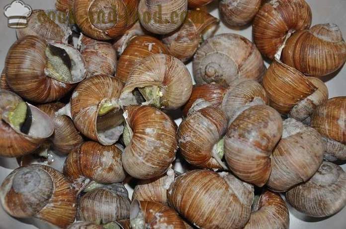 Penyediaan siput di rumah - bagaimana untuk menyediakan siput resipi lazat dengan gambar