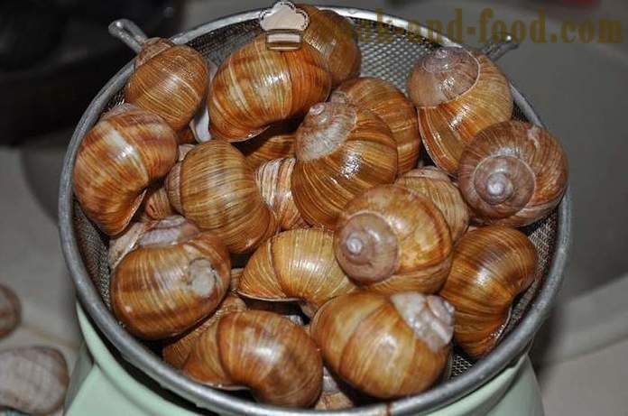 Penyediaan siput di rumah - bagaimana untuk menyediakan siput resipi lazat dengan gambar