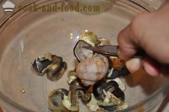 Penyediaan siput di rumah - bagaimana untuk menyediakan siput resipi lazat dengan gambar