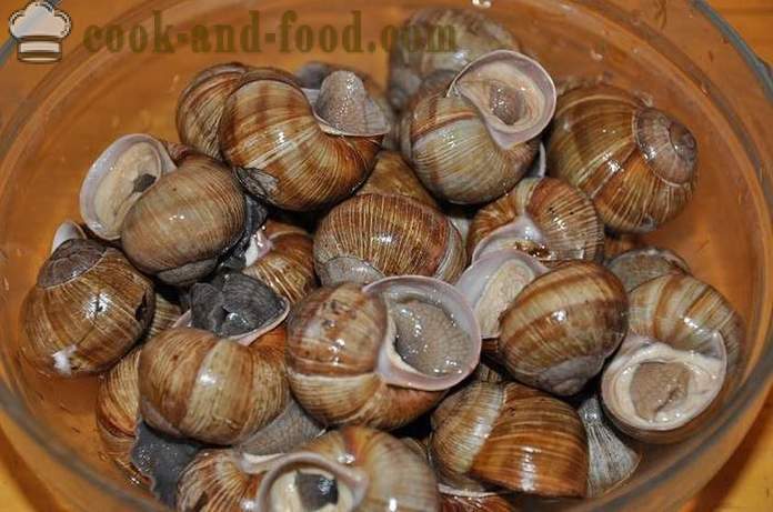 Penyediaan siput di rumah - bagaimana untuk menyediakan siput resipi lazat dengan gambar