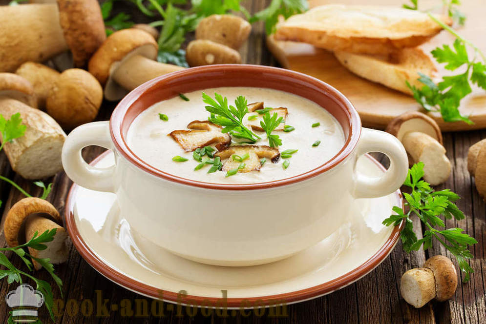 Putih sup cendawan: dua resipi hidangan lazat